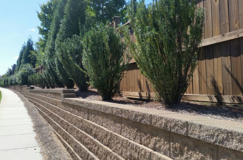 Landscape Wall Construction in Aiken, SC