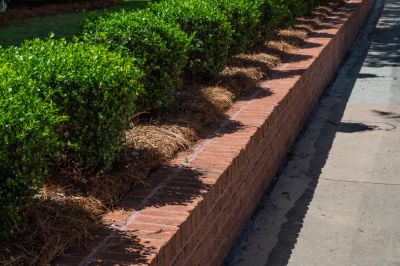 Brick Retaining Wall!
